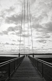 Seebr&uuml;cke IBA-Terrassen am Ilse-See in Gro&szlig;r&auml;schen